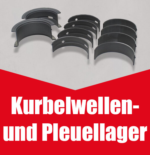 Kurbelwellen- und Pleuellager