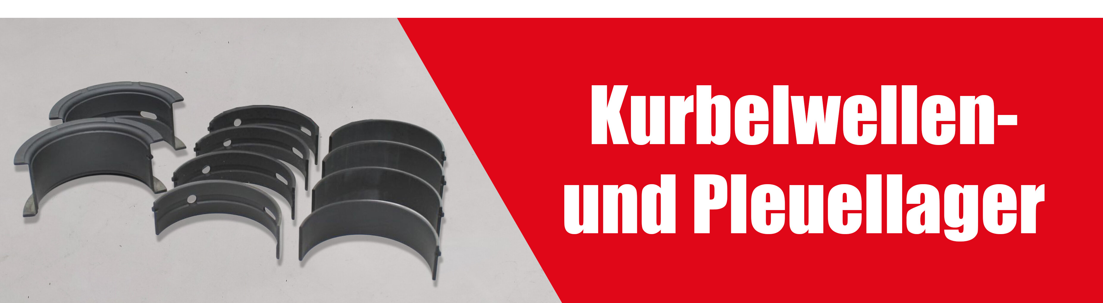 Kurbelwellen- und Pleuellager