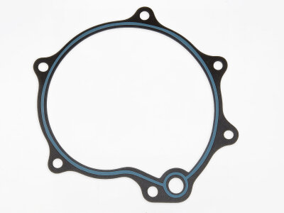 Water pump seal