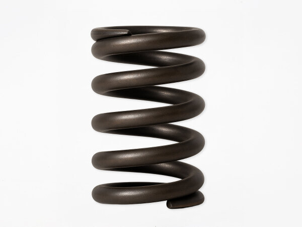Verstärkte Ventilfedern für 1.6 + 1.8 OHC (Big Block)