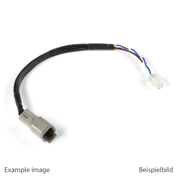 Haltech CAN Adaptor Loom (DTM-4 to Minifit Jr) Suits Microte