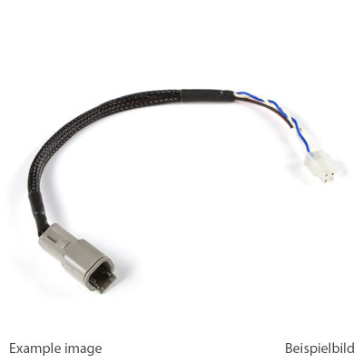 Haltech CAN Adaptor Loom (DTM-4 to Minifit Jr) Suits Microte