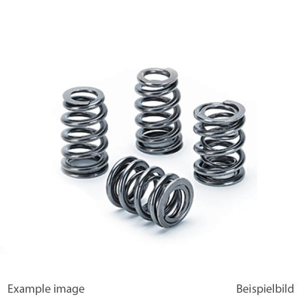 Supertech Ventilfeder Set BMW M42 / Honda K20/K24/H22