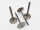 Exhaust Valve 3.0 24V, Ø 31.5 mm – Motorsport Group H